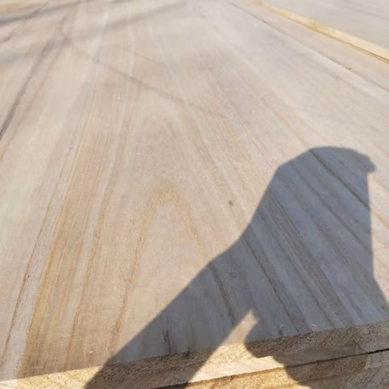 Tabla de surf al por mayor del precio de la madera de Paulownia 1220*2440m m, base de madera del esquí